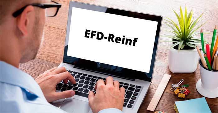 EFD-Reinf: veja o que muda para o seu negócio em 2024 - Probo Contabilidade - Assessoria Contábil